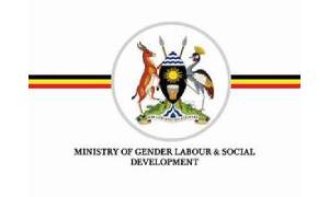partners Gender